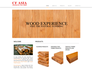 Cf Asia Trading Sdn Bhd