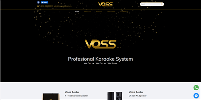 Voss Audio