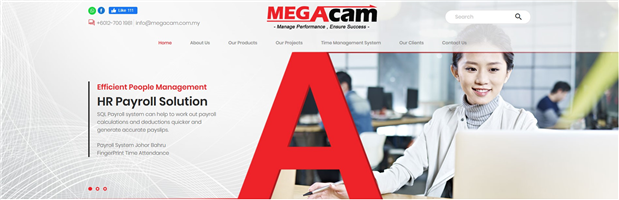 Megacam System
